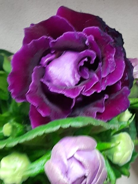 thumbnail (46) - GLOXINIA 2019