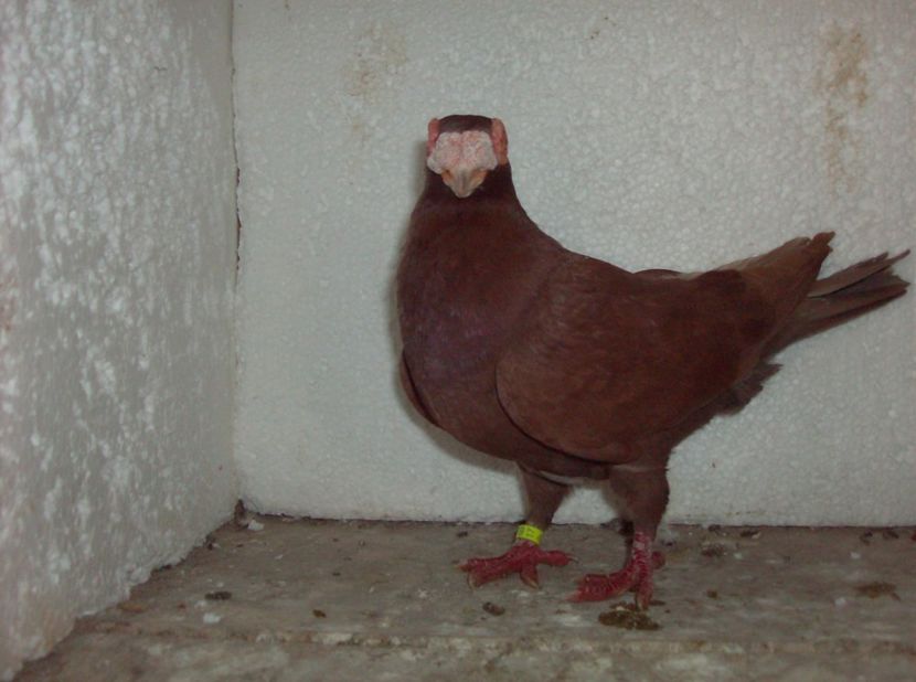  - Lot 2019