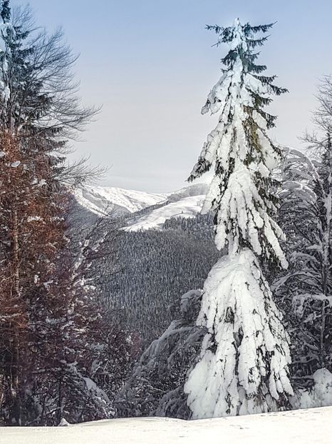  - 07 - Clăbucet-Gârbova-ian 2019