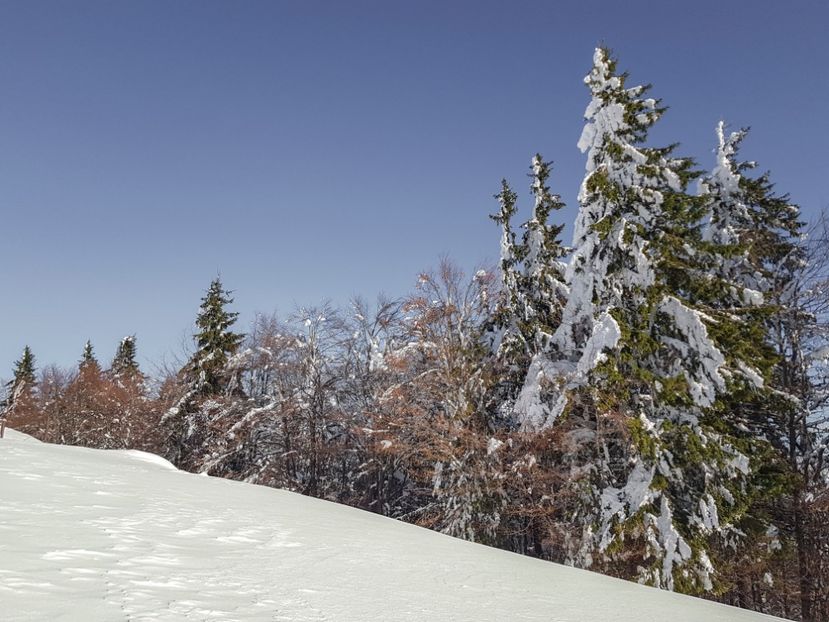  - 07 - Clăbucet-Gârbova-ian 2019
