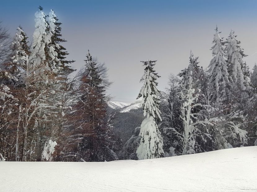  - 07 - Clăbucet-Gârbova-ian 2019