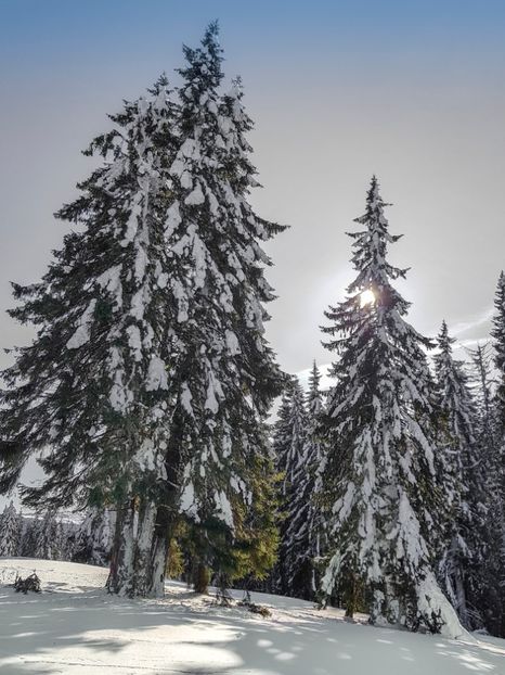  - 07 - Clăbucet-Gârbova-ian 2019