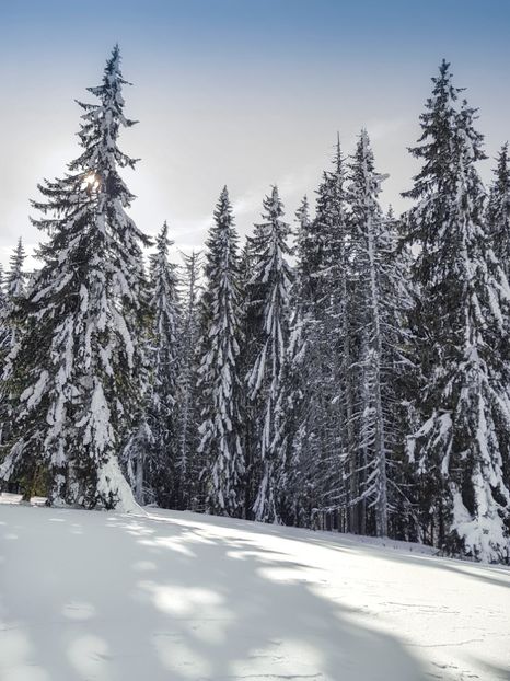  - 07 - Clăbucet-Gârbova-ian 2019