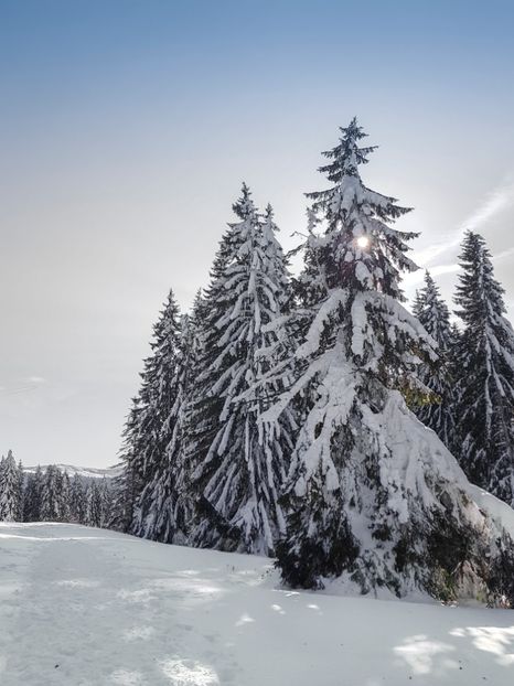  - 07 - Clăbucet-Gârbova-ian 2019