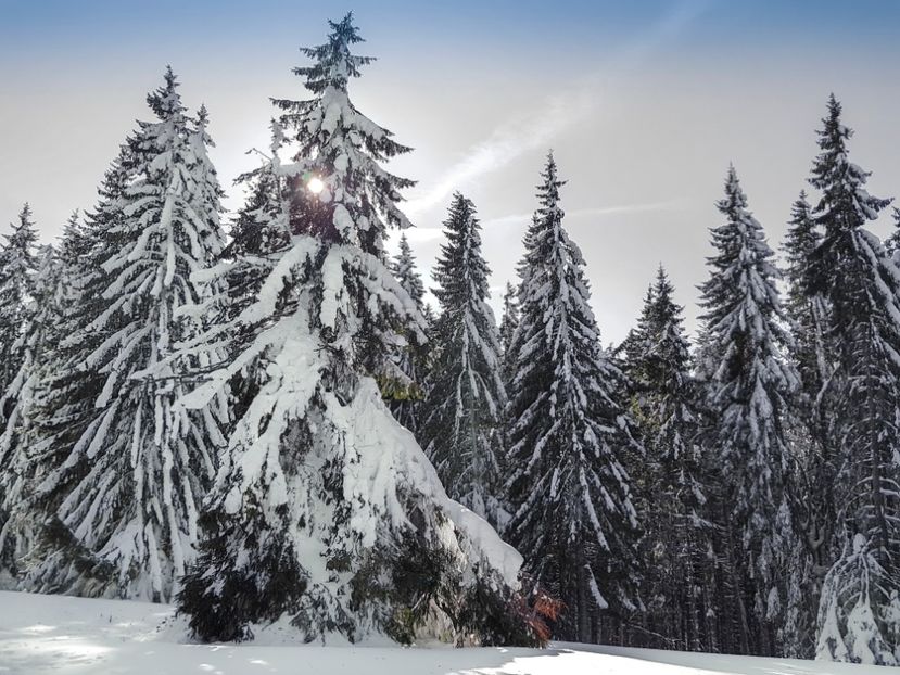  - 07 - Clăbucet-Gârbova-ian 2019