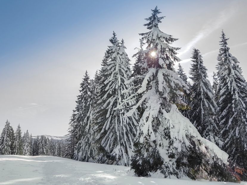  - 07 - Clăbucet-Gârbova-ian 2019