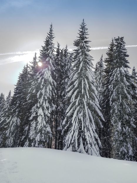  - 07 - Clăbucet-Gârbova-ian 2019