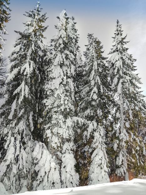  - 07 - Clăbucet-Gârbova-ian 2019