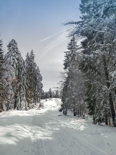 spre Gârbova - 07 - Clăbucet-Gârbova-ian 2019