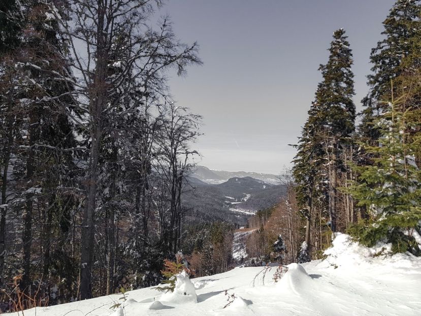  - 07 - Clăbucet-Gârbova-ian 2019