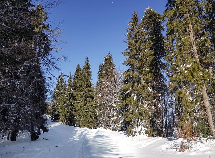  - 07 - Clăbucet-Gârbova-ian 2019