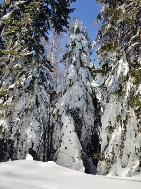  - 07 - Clăbucet-Gârbova-ian 2019