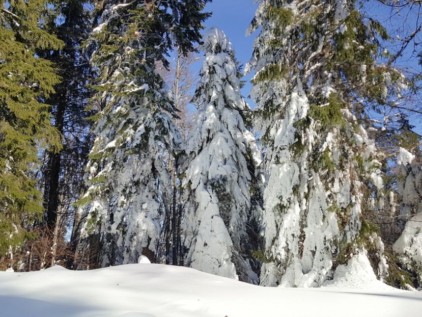  - 07 - Clăbucet-Gârbova-ian 2019