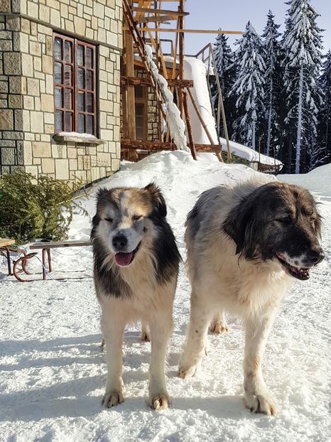  - 07 - Clăbucet-Gârbova-ian 2019