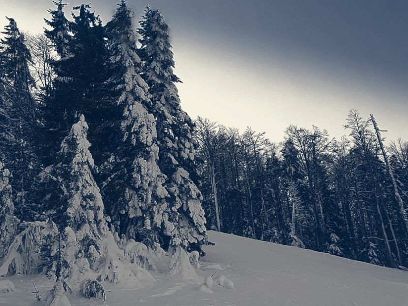  - 07 - Clăbucet-Gârbova-ian 2019