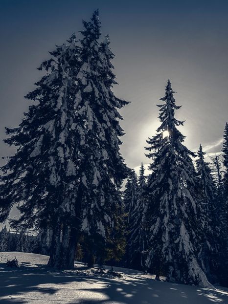  - 07 - Clăbucet-Gârbova-ian 2019