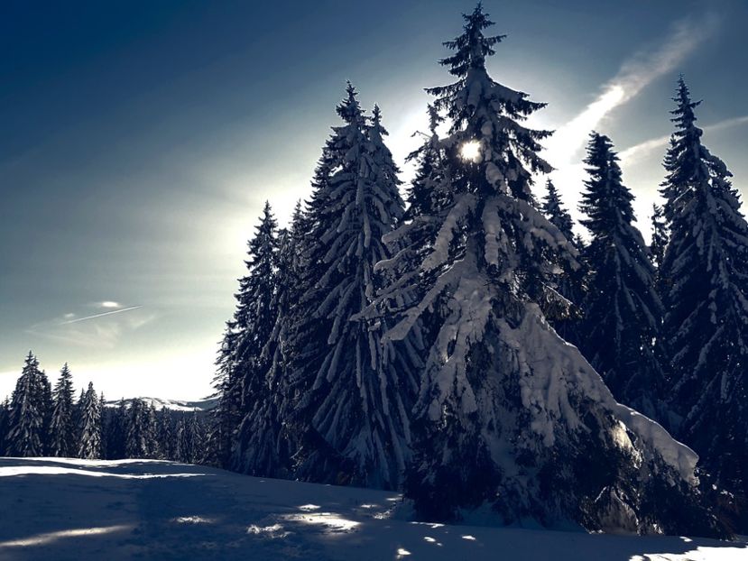  - 07 - Clăbucet-Gârbova-ian 2019