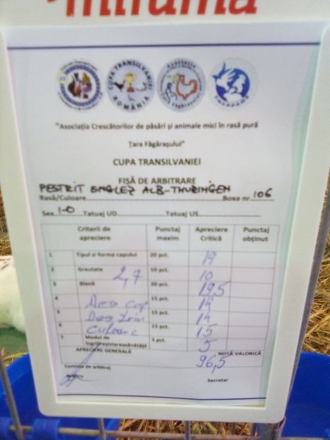  - 0 - REZ EXPO BRAȘOV FEB 2019