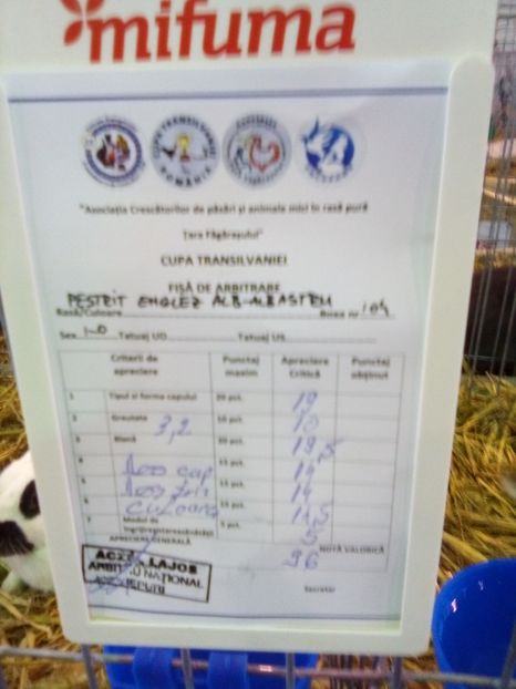  - 0 - REZ EXPO BRAȘOV FEB 2019