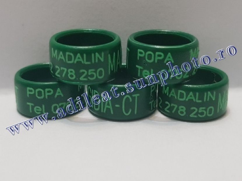 TextArt_190226152647 - 1-A-INELE PERSONALIZATE 2019