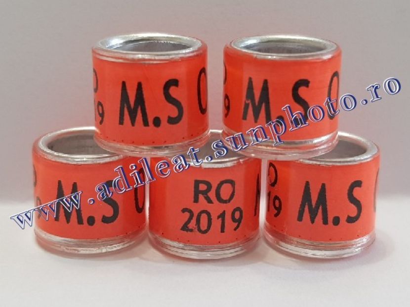 TextArt_190226152237 - 1-A-INELE PERSONALIZATE 2019