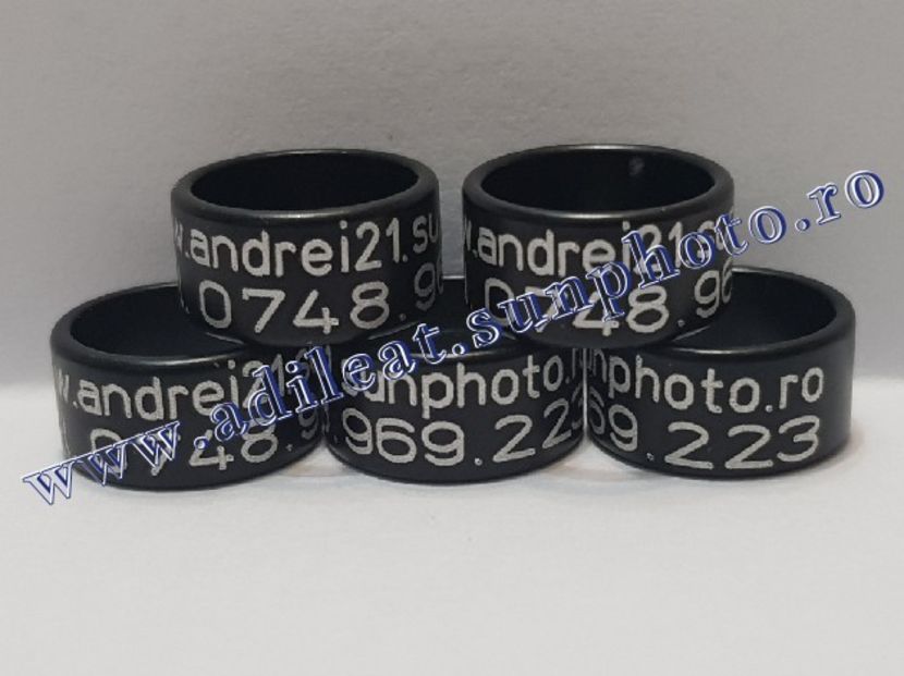 TextArt_190226152447 - 1-A-INELE PERSONALIZATE 2019