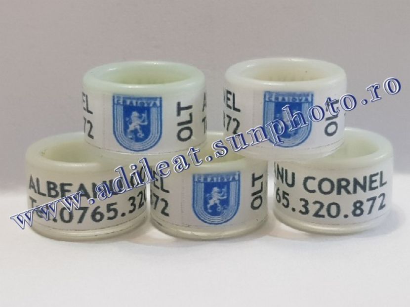 TextArt_190226152226 - 1-A-INELE PERSONALIZATE 2019