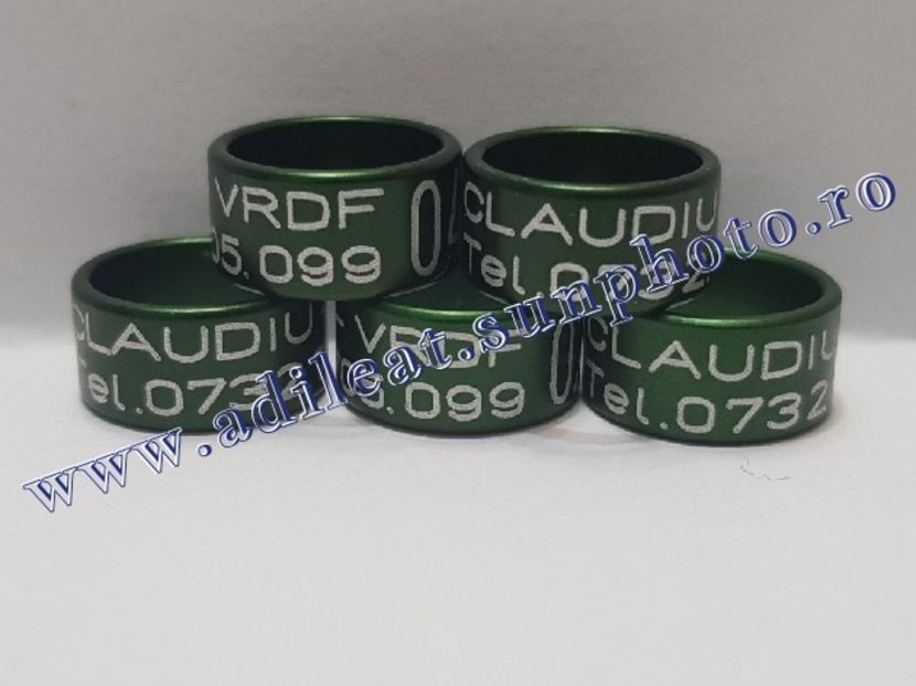 TextArt_190226152530 - 1-A-INELE PERSONALIZATE 2019