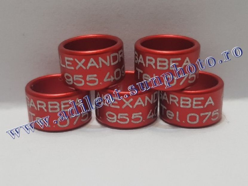 TextArt_190226152519 - 1-A-INELE PERSONALIZATE 2019