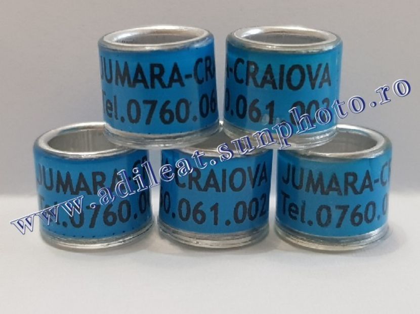 TextArt_190226152249 - 1-A-INELE PERSONALIZATE 2019