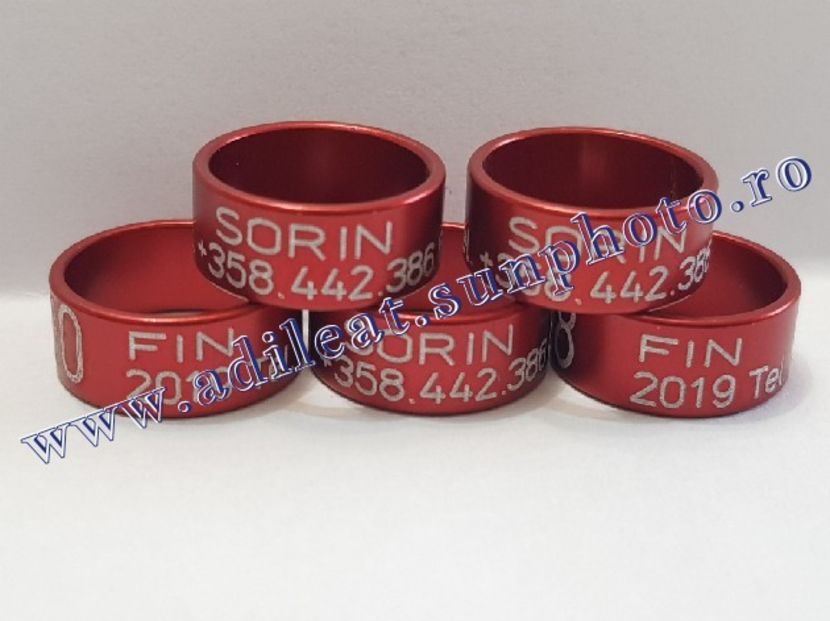 TextArt_190226152328 - 1-A-INELE PERSONALIZATE 2019