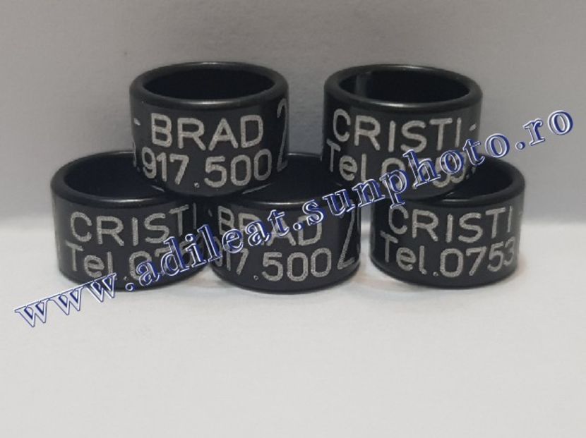 TextArt_190226152547 - 1-A-INELE PERSONALIZATE 2019