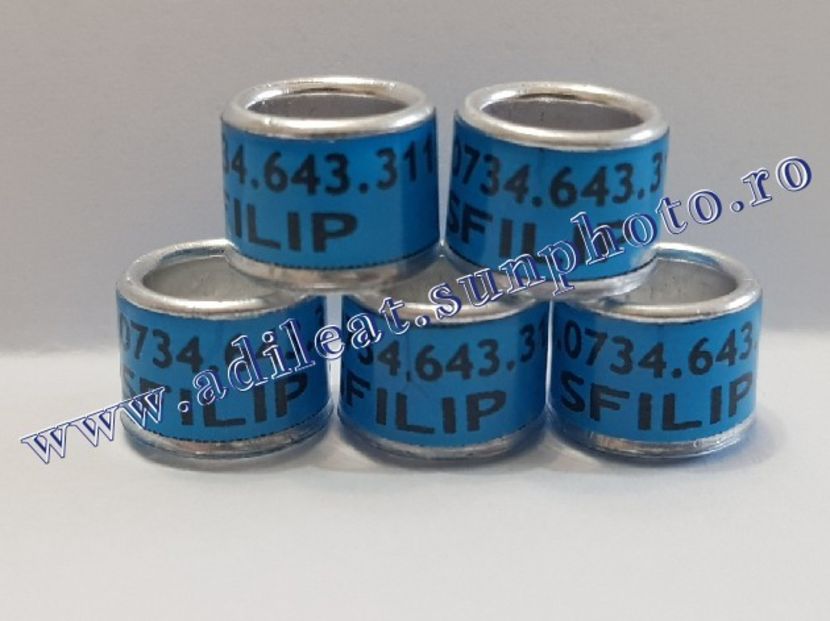 TextArt_190226152315 - 1-A-INELE PERSONALIZATE 2019