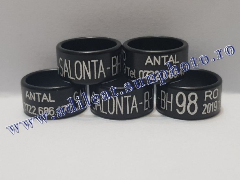 TextArt_190226152613 - 1-A-INELE PERSONALIZATE 2019