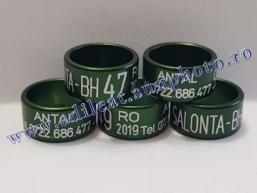 TextArt_190226152417 - 1-A-INELE PERSONALIZATE 2019