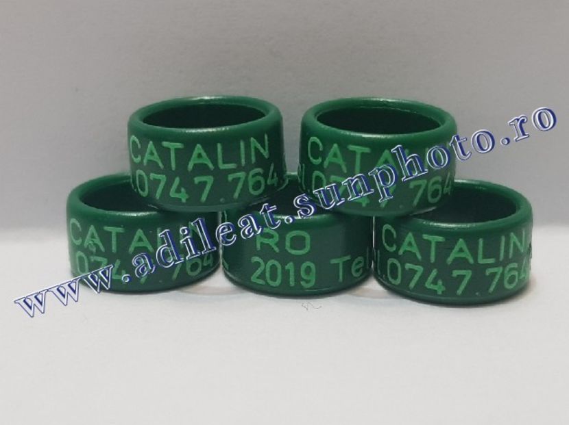 TextArt_190226152626 - 1-A-INELE PERSONALIZATE 2019