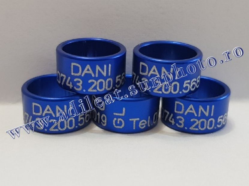 TextArt_190226152406 - 1-A-INELE PERSONALIZATE 2019