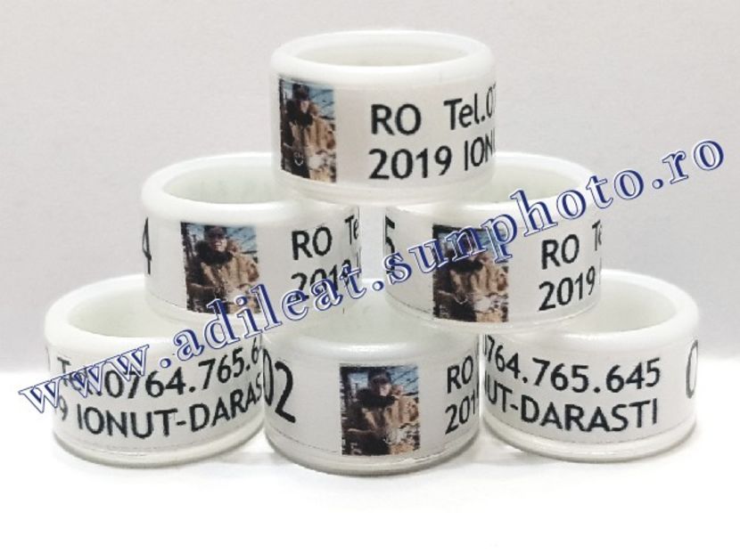 TextArt_190226152214 - 1-A-INELE PERSONALIZATE 2019