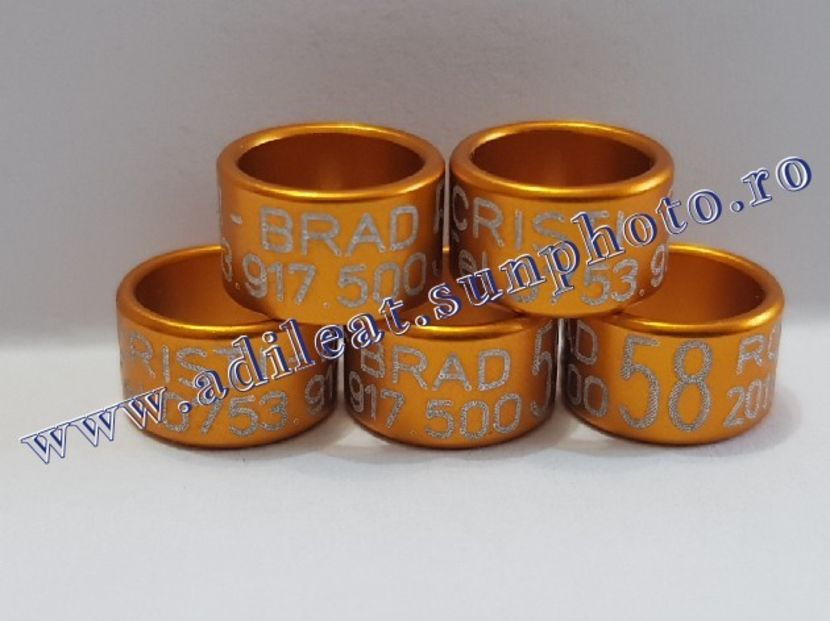 TextArt_190226152428 - 1-A-INELE PERSONALIZATE 2019