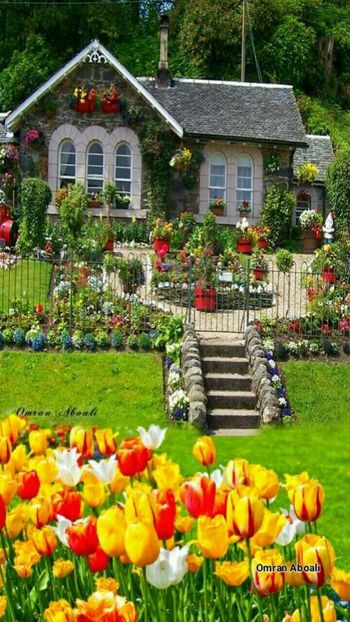  - case ecologice in arhitectura verde