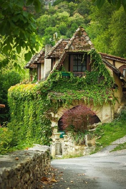  - case ecologice in arhitectura verde