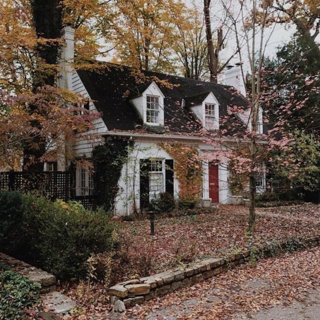  - case ecologice in arhitectura verde