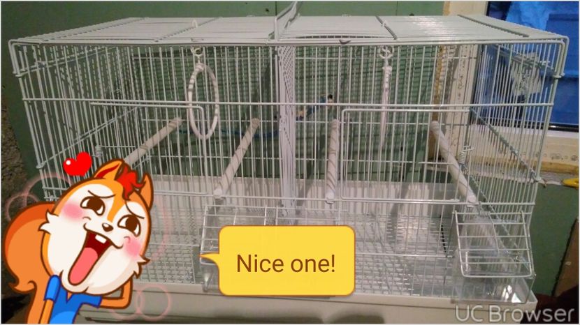 TMPDOODLE1551290513998 - COLIVII PROFESIONALE DE VANZARE-oferta repede