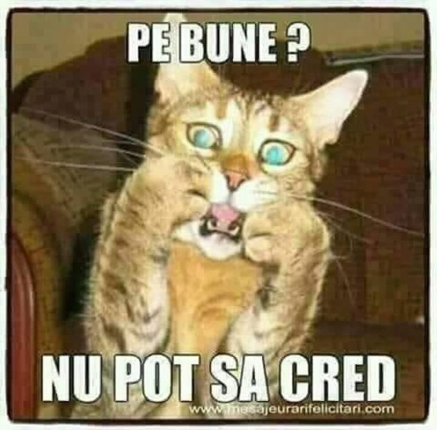 Eurovision 2018 - 2018 Eurovision Song Contest Part 12