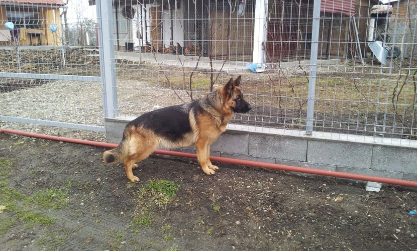  - 15 Paznic in devenire