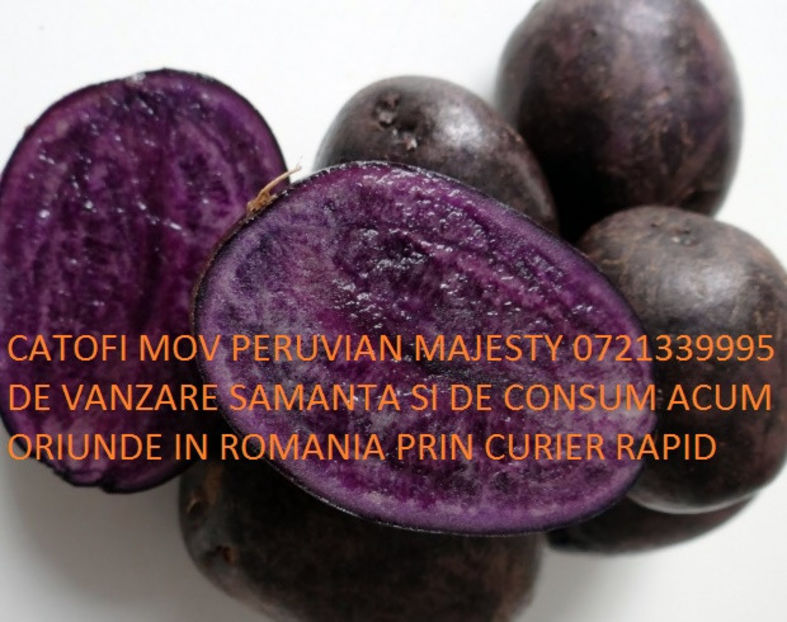 purple_potatoes_0721339995 romania - Cartofi Mov Peruvian 0721339995 Pepeniera Gradina Bucuresti oriunde Romania