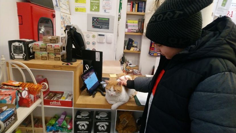  - 2019 BUCURESTI VIZA SUA