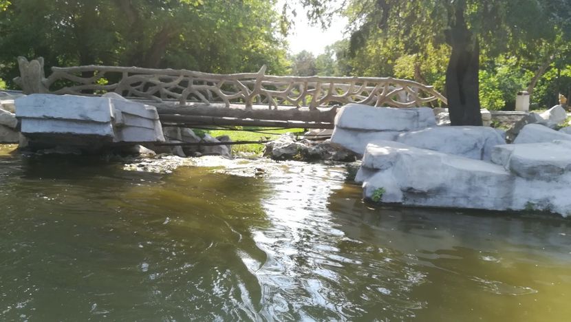  - 2018 TEL MIHNEA ROMANESCU