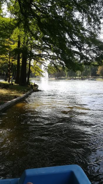  - 2018 TEL MIHNEA ROMANESCU