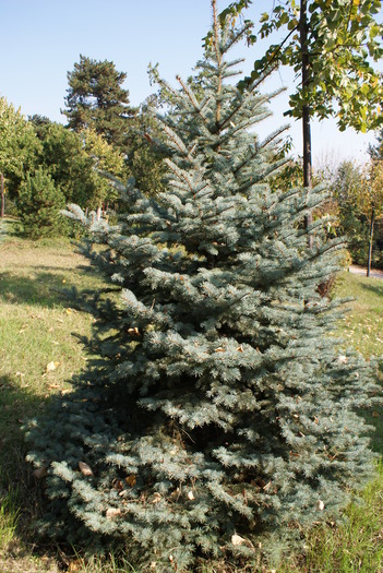 DSC00349 - Poze din diferite locuri din Romania